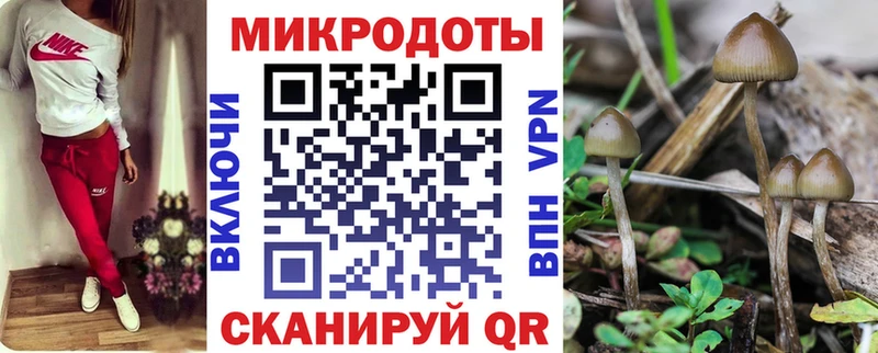 Псилоцибиновые грибы мицелий  блэк спрут ТОР  Нестеров 